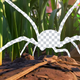 Image for article titled If You're Scared Of Spiders, Obsidian's Upcoming Game Will Have A Mode Just For You